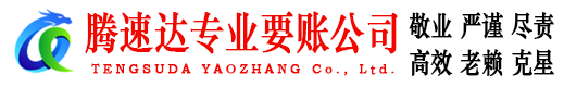 陆丰腾速达清债公司